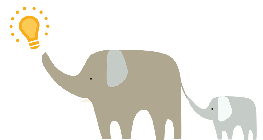 Elephant 