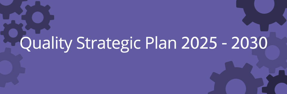 Quality Improvement Plan 2020-2025